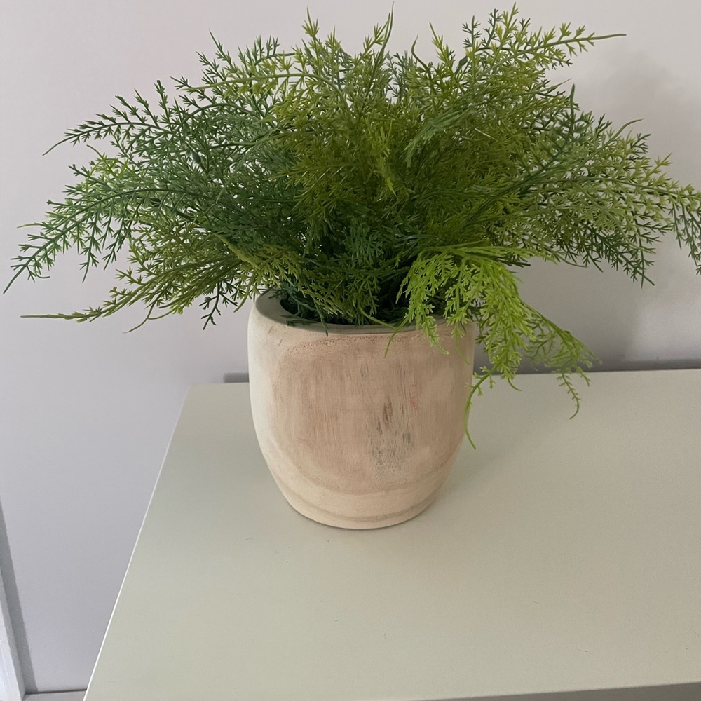 Threshold faux Fern with wood base